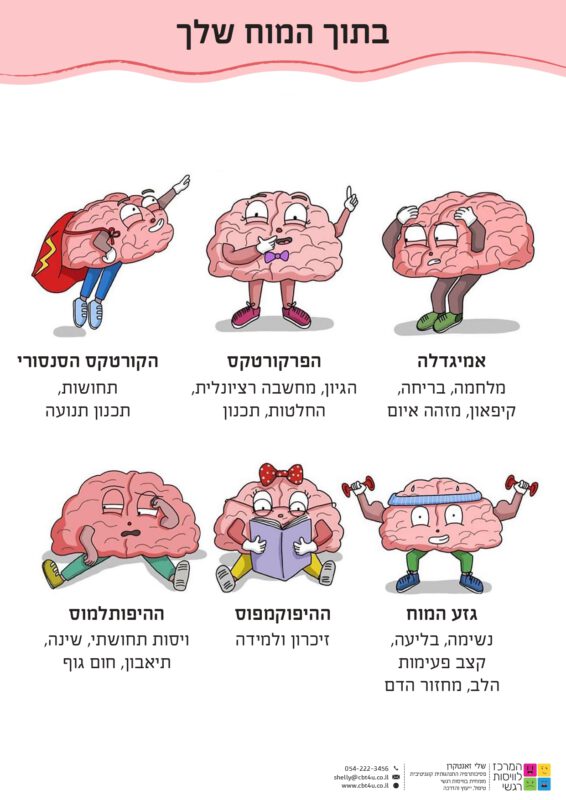 המרכז לוויסות רגשי – שלי זאנטקרן