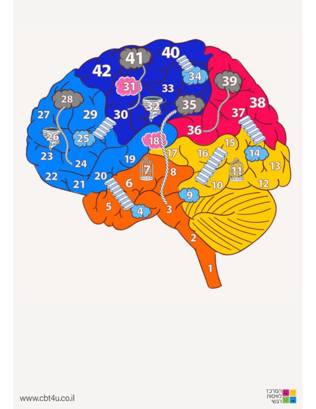 המרכז לוויסות רגשי – שלי זאנטקרן